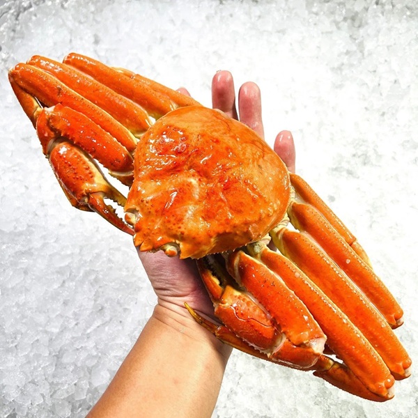 Our snow crab clusters are sourced from icy Northern waters, offering sweet, flaky meat in every leg. Packed frozen in secure boxes for long-term storage and distribution.