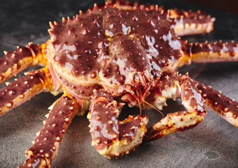 Fresh Seafood Supply delivers premium seafood—king crab, salmon, shrimp—vacuum-packed and IQF. Wholesale & retail with fast cold-chain shipping worldwide.