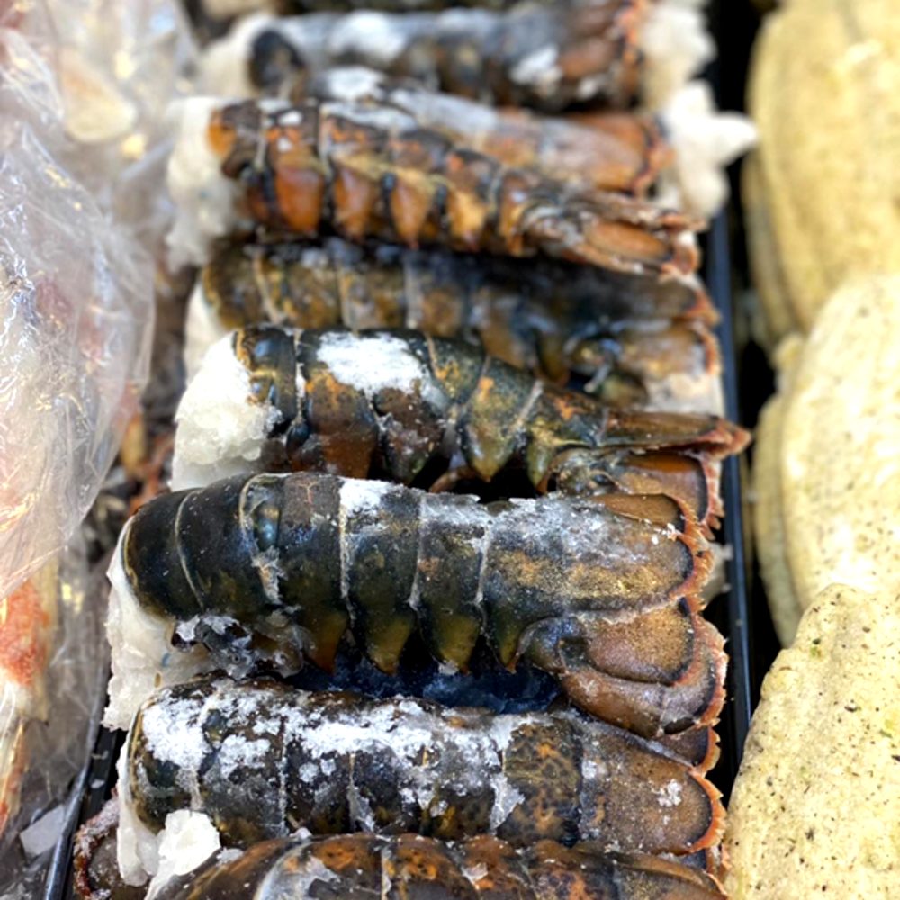 Frozen Boston lobster tails IQF premium seafood wholesale on ice