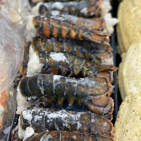 Frozen Boston lobster tails, wild-caught and packed with sweet, tender meat. Each tail is individually quick frozen (IQF) to maintain peak freshness and flavor