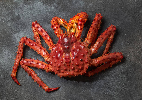 Arctic-caught live king crab with sweet, firm meat. Fast air routes, careful handling, full traceability—ideal for premium restaurants.