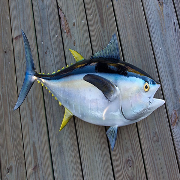 High-quality frozen tuna fish, wild-caught and rich in flavor with firm, meaty texture. Flash-frozen to preserve freshness and ideal for sashimi, grilling, or searing
